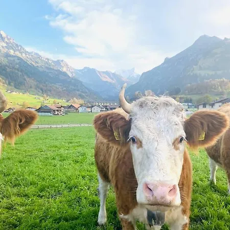 Cozy In Vintage House In Apartment