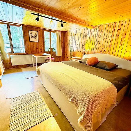 Cozy In Vintage House In Kandersteg