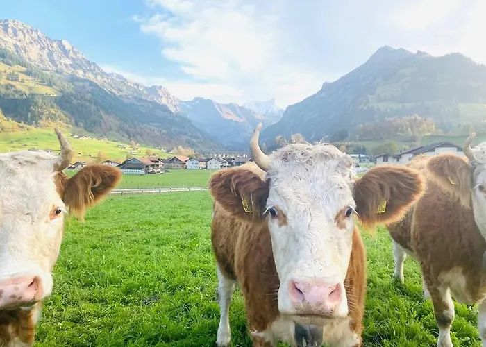 Cozy In Vintage House In Lejlighed